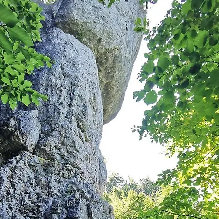 Waldgluck Nyaraló Hirschbach (Bavaria)