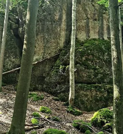 Nyaraló Waldgluck